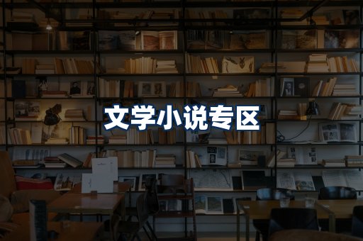 文学小说PDF展示